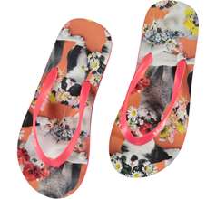 Zeppo Accessories